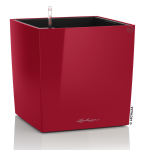 Vaso Quadrato Cube Premium